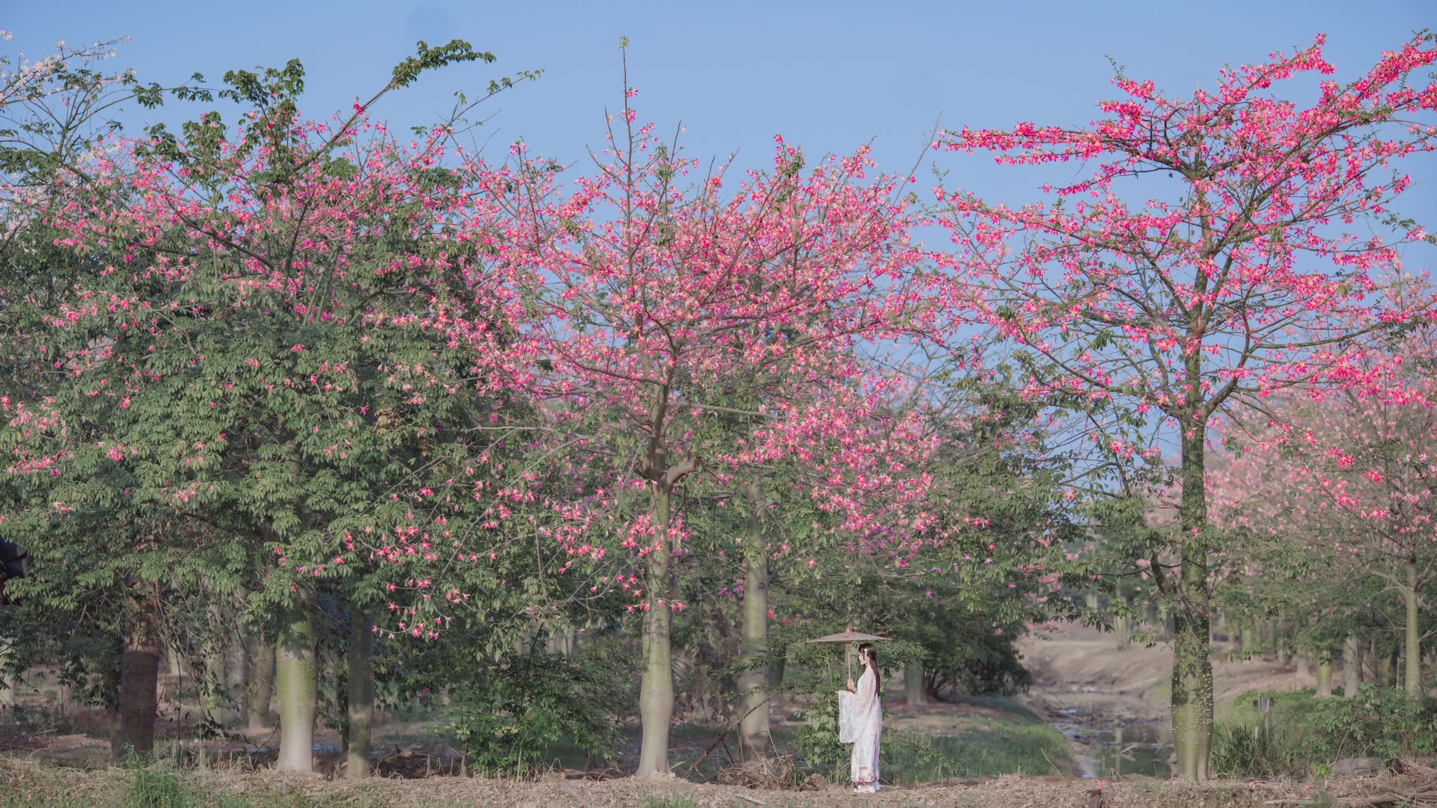 桜桃喵 - NO.100 温柔 桃花[15P]